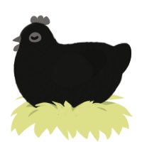A black chicken with a lace pattern