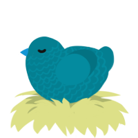 A sea chicken with a lace pattern