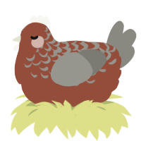 A russet and ash chicken with a half-lace pattern