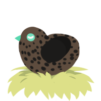 A bark and sable chicken with a speckle pattern
