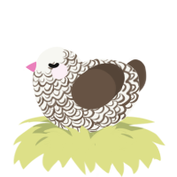 A white and bark chicken with a double-lace pattern