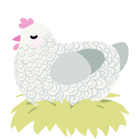 A white and silver chicken with a double-lace pattern