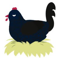 A tumblr and black chicken with a double-lace pattern