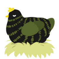 A sable and olive chicken with a bar pattern