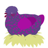 A overcast and plum chicken with a speckle pattern