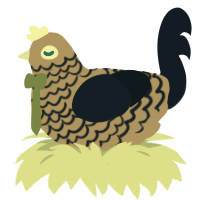 A orange and tumblr chicken with a lace pattern