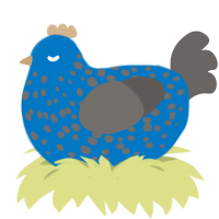 A sapphire and grey chicken with a speckle pattern