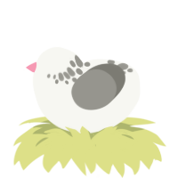 A white and ash chicken with a neck-speckle pattern