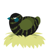 A sable and olive chicken with a bar pattern