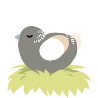 A ash and cream chicken with a neck-band pattern