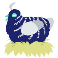 A navy and mist chicken with a half-bar pattern