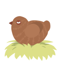 A brown chicken with a bar pattern
