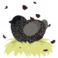 A black and grey chicken with a double-lace pattern