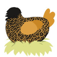 A sable and orange chicken with a double-lace pattern