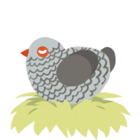 A silver and grey chicken with a lace pattern
