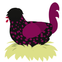 Licorice, a black and wine chicken with a speckle pattern