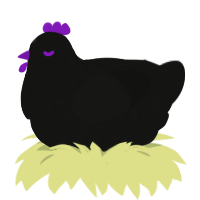 A black chicken with a speckle pattern