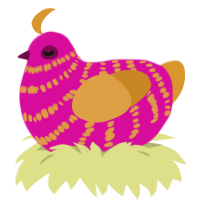 Rhubarb, a fuchsia and orange chicken with a bar pattern