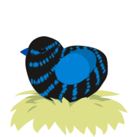 A sable and sapphire chicken with a bar pattern