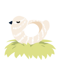 A cream chicken with a bar pattern
