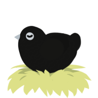 A black chicken with a lace pattern