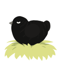 A black and sable chicken with a half-bar pattern