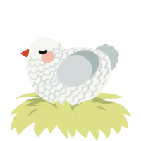 A white and silver chicken with a lace pattern