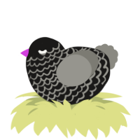 A sable and ash chicken with a lace pattern