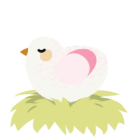 A white and rose chicken with a half-lace pattern