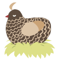 A bark and beige chicken with a lace pattern