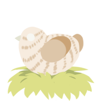 A cream and beige chicken with a bar pattern