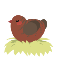 A russet and bark chicken with a half-bar pattern