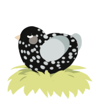 A black and silver chicken with a speckle pattern