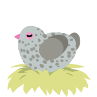 A silver and ash chicken with a speckle pattern