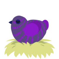 A overcast and violet chicken with a bar pattern