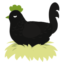 A black and sable chicken with a half-lace pattern