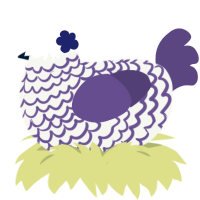 Selene, a white and overcast chicken with a lace pattern