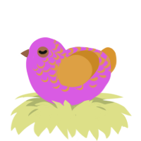 A orchid and orange chicken with a half-lace pattern