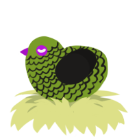 A chartreuse and sable chicken with a lace pattern