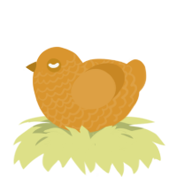 A orange chicken with a lace pattern
