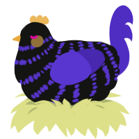 Crowlas, a black and indigo chicken with a bar pattern