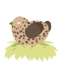 A beige and bark chicken with a speckle pattern