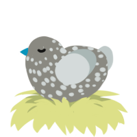 A ash and silver chicken with a speckle pattern