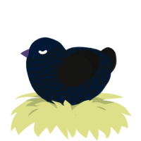 A tumblr and black chicken with a lace pattern