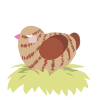 A beige and russet chicken with a bar pattern