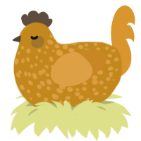 A ochre and orange chicken with a speckle pattern