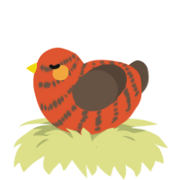 A vermilion and bark chicken with a bar pattern