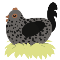 A grey and black chicken with a speckle pattern