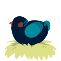 A tumblr and sea chicken with a neck-band pattern