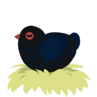 A black and tumblr chicken with a speckle pattern